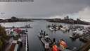 ./images/victoria/wharf/20260415/wharf20260415_183501M.jpg