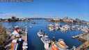 ./images/victoria/wharf/20260416/wharf20260416_110501M.jpg