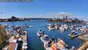 ./images/victoria/wharf/20260416/wharf20260416_134501M.jpg