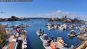 ./images/victoria/wharf/20260416/wharf20260416_140001M.jpg