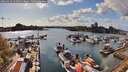 ./images/victoria/wharf/20260416/wharf20260416_165001M.jpg