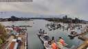 ./images/victoria/wharf/20260417/wharf20260417_161001M.jpg