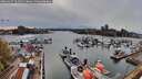 ./images/victoria/wharf/20260417/wharf20260417_165501M.jpg