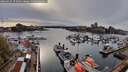 ./images/victoria/wharf/20260417/wharf20260417_175001M.jpg
