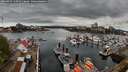 ./images/victoria/wharf/20260422/wharf20260422_140501M.jpg