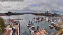 ./images/victoria/wharf/20260422/wharf20260422_151001M.jpg