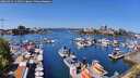 ./images/victoria/wharf/20260424/wharf20260424_122501M.jpg