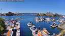 ./images/victoria/wharf/20260424/wharf20260424_124501M.jpg