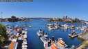 ./images/victoria/wharf/20260424/wharf20260424_130001M.jpg