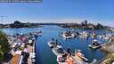 ./images/victoria/wharf/20260425/wharf20260425_143501M.jpg
