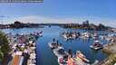 ./images/victoria/wharf/20260425/wharf20260425_152001M.jpg