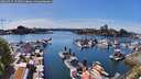 ./images/victoria/wharf/20260425/wharf20260425_153501M.jpg