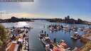 ./images/victoria/wharf/20260425/wharf20260425_172502M.jpg