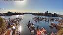 ./images/victoria/wharf/20260425/wharf20260425_175001M.jpg