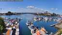 ./images/victoria/wharf/20260426/wharf20260426_133501M.jpg