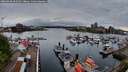 ./images/victoria/wharf/20260428/wharf20260428_062501M.jpg