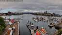 ./images/victoria/wharf/20260428/wharf20260428_091001M.jpg