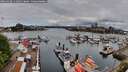 ./images/victoria/wharf/20260428/wharf20260428_111001M.jpg