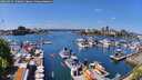 ./images/victoria/wharf/20260429/wharf20260429_130001M.jpg