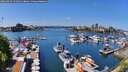 ./images/victoria/wharf/20260429/wharf20260429_131002M.jpg