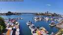 ./images/victoria/wharf/20260429/wharf20260429_133501M.jpg