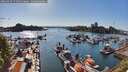 ./images/victoria/wharf/20260429/wharf20260429_171501M.jpg
