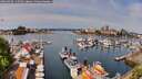 ./images/victoria/wharf/20260430/wharf20260430_115001M.jpg