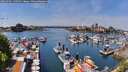 ./images/victoria/wharf/20260501/wharf20260501_130501M.jpg