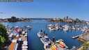 ./images/victoria/wharf/20260502/wharf20260502_124502M.jpg