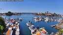 ./images/victoria/wharf/20260502/wharf20260502_130001M.jpg