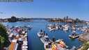 ./images/victoria/wharf/20260502/wharf20260502_133501M.jpg