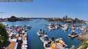 ./images/victoria/wharf/20260502/wharf20260502_140501M.jpg