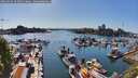 ./images/victoria/wharf/20260502/wharf20260502_165002M.jpg