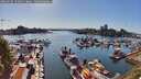 ./images/victoria/wharf/20260502/wharf20260502_170110M.jpg