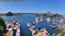 ./images/victoria/wharf/20260503/wharf20260503_130002M.jpg