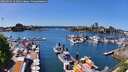 ./images/victoria/wharf/20260503/wharf20260503_141001M.jpg