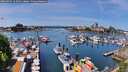 ./images/victoria/wharf/20260504/wharf20260504_123501M.jpg