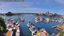 ./images/victoria/wharf/20260504/wharf20260504_124501M.jpg