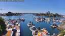 ./images/victoria/wharf/20260504/wharf20260504_142501M.jpg