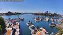 ./images/victoria/wharf/20260504/wharf20260504_145001M.jpg