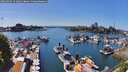 ./images/victoria/wharf/20260504/wharf20260504_151001M.jpg