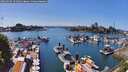 ./images/victoria/wharf/20260504/wharf20260504_151501M.jpg