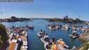 ./images/victoria/wharf/20260504/wharf20260504_152001M.jpg