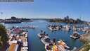 ./images/victoria/wharf/20260504/wharf20260504_152501M.jpg