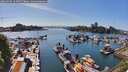 ./images/victoria/wharf/20260504/wharf20260504_163501M.jpg