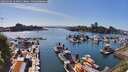 ./images/victoria/wharf/20260504/wharf20260504_164001M.jpg