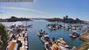./images/victoria/wharf/20260504/wharf20260504_165001M.jpg