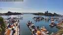 ./images/victoria/wharf/20260504/wharf20260504_171001M.jpg