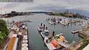 ./images/victoria/wharf/20260506/wharf20260506_145001M.jpg