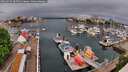 ./images/victoria/wharf/20260507/wharf20260507_085501M.jpg